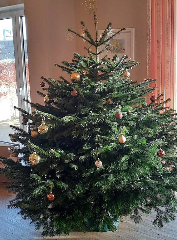 Prächtig geschmückter Weihnachtsbaum im Pflegeheim in Rastede